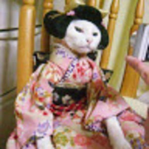 Meet your Posher, Ân